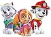 PAW Patrol - Everest Skye Marshall - Iron On Heat Transfer 7.5