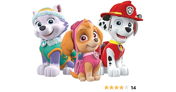 marshall and everest paw patrol