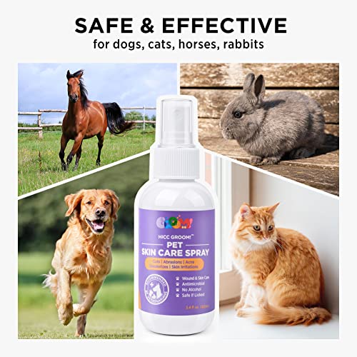 HICC GROOM! HOT SPOT TREATMENT AND ITCH RELIEF SPRAY FOR DOGS & CATS, RAPIDLY ALLEVIATE DRY ITCHY SKIN, SKIN ALLERGIES, SCRATCHING, EXCESSIVE LICKING, WOUND WASH SPRAY, 3.4 FL OZ