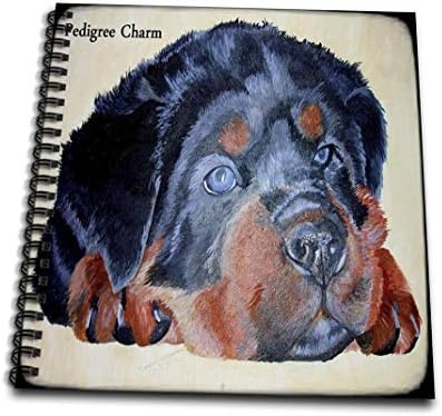 pedigree rottweiler puppies