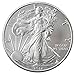 2012-1 Ounce American Silver Eagle Low Flat Rate Shipping .999 Fine Silver Dollar Uncirculated US Mint
