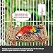 Wieppo Bird-Foraging-Toy-Perch Net – Woven Seagrass Mat Hammock Bird Toy, Hanging Hook Wall Bird Toys for Cockatoo,Cockatiels-Conure-Budgie-Parakeet-Lovebird-Parrotlets, Jendaythumb 3