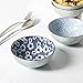 DOWAN Ceramic Cereal, Soup, or Pasta Bowls, Set of 4 Assorted Designs, Blue and White