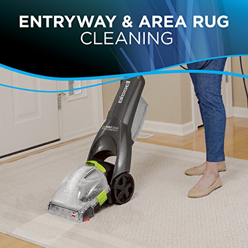 Bissell Turboclean Powerbrush Pet Full Size Upright Carpet Cleaner