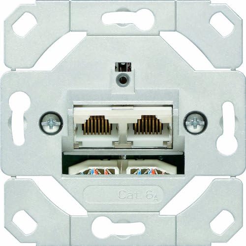 Gira 245200 Network socket 2-fold Cat.6A IEEE 802.3an flush-mounting insert, Metallic