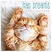 2020 Cat Dreams Wall Calendar by 