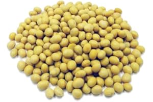 SOYA Beans - 1.5kg