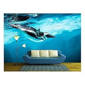 Humboldt Penguin (Spheniscus Humboldti) Also Termed Peruvian Penguin - Removable Wall Mural | Self-Adhesive Large Wallpaper - 66x96 inches