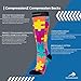 CompressionZ 20-30 mmHg Compression Socks Men & Women - Knee High Support Stockings (Jigsaw, Large)