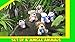 Nush Nush Set of 6 Small Stuffed Animals - Unisex Safari Animal Plush Toys - Premium Quality Stuffed Animals for Kids - Jungle Zoo Keychain Animal for Party Favors Gifts Carnival prizes