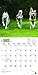 Siberian Huskies 2017 Calendar