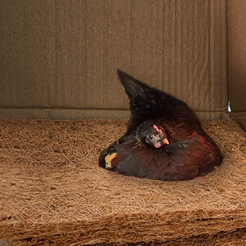 12 Pcs Coco Coir Liner Chicken Nesting Pads Thick Wood Shavings Liners