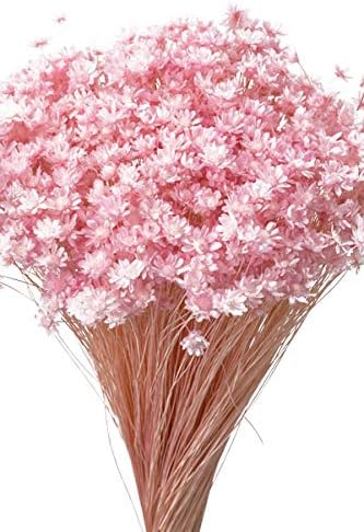 Amazon そらプリ 固まるハーバリウム ドライフラワー 花材 大地農園 スターフラワー ミニ 小分け 約1 4袋 ブライダルピンク ドライフラワー オンライン通販