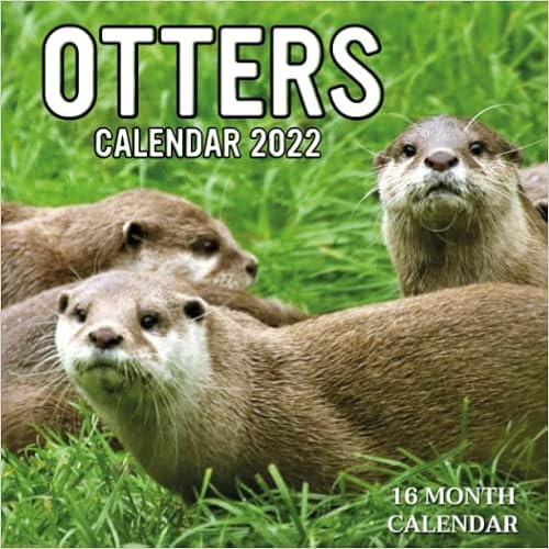 Otter Calendar 2023 Otters Calendar 2022: Monthly Square Calendar 2022-2023, 16 Month Calendar,  Cute Animal Calendar 2022 For Organizing & Planning For Otter Lover Women &  Men: Calendar 2022-2023, Otters: 9798764116365: Amazon.com: Books