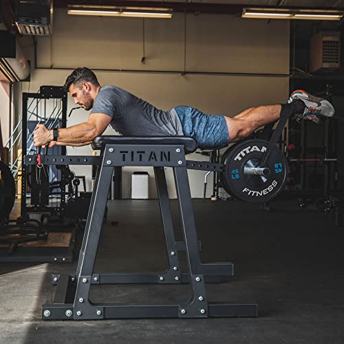 Titan Fitness HPND, Reverse Hyperextensions Lower Body Machine, Rated