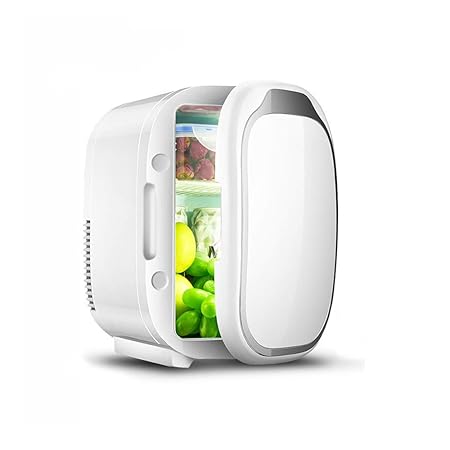 JSYS Refrigerador para automóvil Capacidad portátil de 6L Mini ...