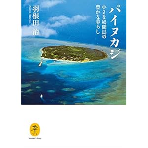 ヤマケイ文庫 パイヌカジ 小さな鳩間島の豊かな暮らし [Kindle版]