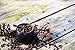 Body B Beautiful/Luxurious Mocha Java Arabica Coffee Scrub/Lasting Body Hydration/Humectant/Exfoliator/Invigorating with All Natural and Organic Ingredients/Cruelty Free/Made In USA / 8oz