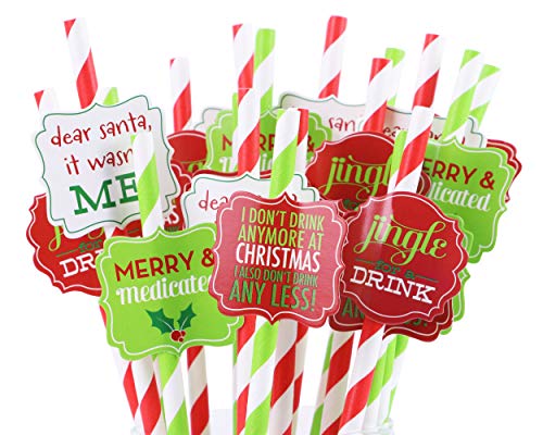 Fun Naughty Christmas Straws, set of 20 Paper Holiday Drinking Straws, Fun Ugly Christmas Sweater Holiday Party Straws, Fun Candy Cane Straws, Holiday Paper Straws (Jingle Drinks)