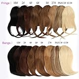 Brazilian virgin Human Hair clip in Bangs clip on Hair Extensions fringe Hair weave clip ins 8inch/20g Hairpieces (#613 fringe)