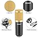 NEEWER NW-800 Condenser Microphone (Gold) with Suspension Boom Scissor Arm Stand, Table Mounting Clamp, Pop Filter and 48V Phantom Power Supply