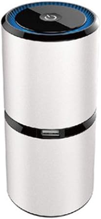 G F Luftreiniger Tragbarer Auto Luft Ionisator Fur Entfernen Sie Staub Blutenstaub Geruche Und Schlechte Geruche Bakterien Vervollkommnen Fur Raum Auto Und Buro Silver Amazon De Kuche Haushalt