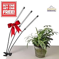 Triple-Head Indoor Plant Light with Red and Blue 30W LED Light Bulbs - Grow Light with Timer for Indoor Plants, Houseplants, and Succulent Plants - Greenhouse, Table, Desk Lamp with Clamp
