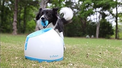 diy ball launcher for dogs