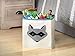 Whitmor Kids Raccoon Canvas Collapsible Cube - 10 x 10 x 10 inches