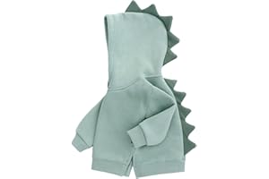 famuka Little Kids Dinosaur Hoodie Toddler Boy Girl Sweatshirt Unisex Casual Tops