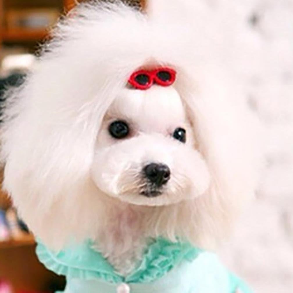 Jeeke 10Pcs Pet Dog Hair Clips Cute Doggie Circular Sunglasses Hair Clips Dog Accessories Fashion and Lovely