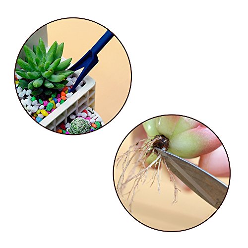 Homagty 14 Pcs Transplanting Tools, Mini Garden Succulent Tool Small Gardening Hand Tools Set for Indoor Miniature Fairy Garden Plant Care - Thumbnail 4