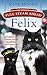 Full Steam Ahead, Felix: Adventures of a famous station cat and her kitten apprentice by 