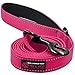 Max and Neo Reflective Nylon Dog Leash - We Donate a Leash to a Dog Rescue for Every One Sold (Pink, 6ft)