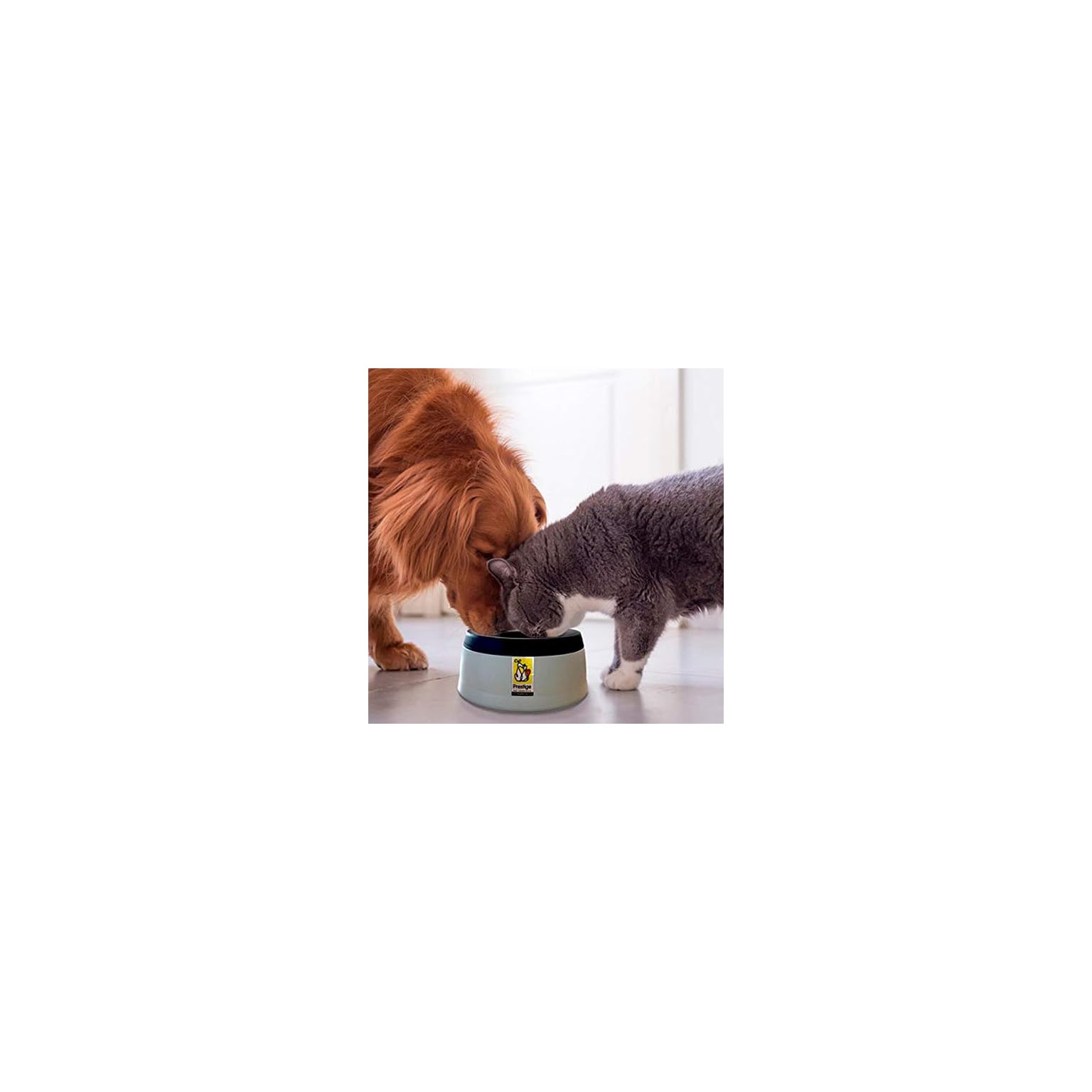Prestige Pets Road Refresher, The NoSpill Slobber Stopper Water Bowl