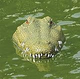 RC alligator head boat for pool,BLACKOBE 2.4G