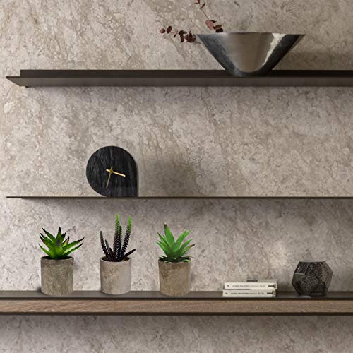 Hopewood Home Decor Small Fake Plant 3PCS Small Artificial Succulent Set Faux Potted Plant for Table Indoor Kitchen (6.2inch)