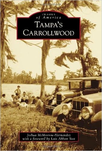 new balance carrollwood