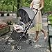 Besrey Airplane Stroller One Step Design for Opening & Folding Lightweight Baby Stroller for Infant Convertible Baby Carriage - Gray