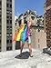 RainbowCapes Gay Pride Rainbow Flag Cape Costume