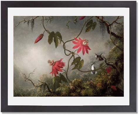 Martin Johnson Heade 情熱花とハチドリ 47 1138lfb 30 X 別倉庫からの配送 24