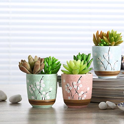 Netral 3.5 Inch Ceramic Sucuulent Plant Pot/Cactus Plant Pot Flower Pot Ceramics Flower Pot for Home Office Desk Garden Decoration,Set of 3 (3, Round)