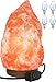 Himalayan Salt Lamp [3x FREE BULBS] Natural Shape Crystal Pink Salt Light with Solid Wooden Base | Air-Purifier Rock Salt Lamp 8 Lbs to 11 Lbs [PURIFYING THE AIR, REDUCE ASTHMA AND ALLERGY (2)