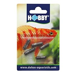 Hobby Planaria