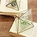 Tchan Glass Plant Terrarium Succulent Planter Prism Geometric Tabletop Brass Glass Artificial Home Decor (Gold)