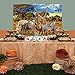 Allenjoy 7x5ft Jungle Animal Backdrop for Summer Tropical Desert African Forest Scenic Party Photography Pictures Decoration Event Table Decor Banner Background Children Photo Booth Shoot