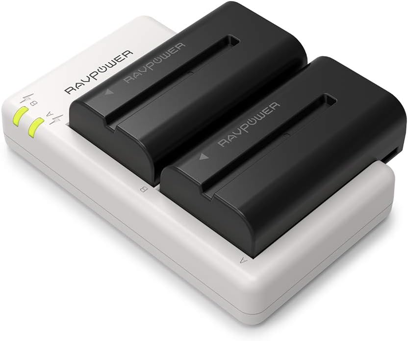 NP-F550 RAVPower Battery Charger for Sony NP F970 F750 F770 F960 F550 F530 F330 F570 CCD-SC55 TR516 TR716 TR818 TR910 TR917 and More (2-Pack Replacement Battery Kit, Dual Slot Charger)