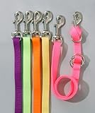 Tough-1 Nylon Web Tie Down