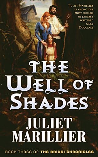 The Well of Shades Paperback – 1 Nov 2008