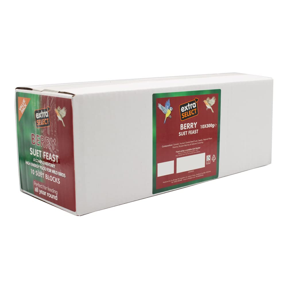 Extra Select Wild Bird High Energy Berry Suet Blocks 10x300gm